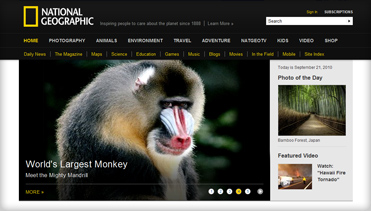 免费DDOS攻击测试工具